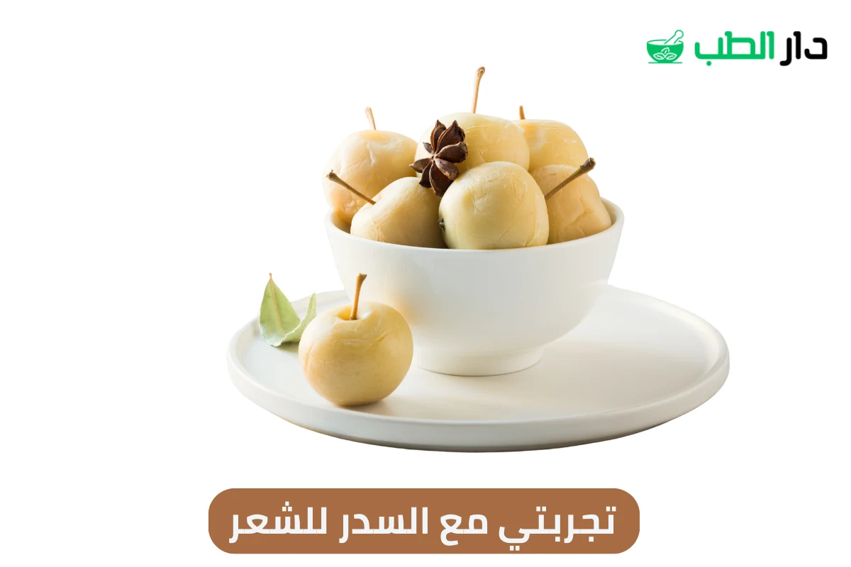 تجربتي مع السدر للشعر
