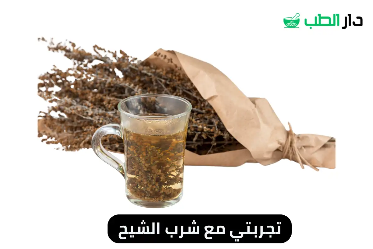 تجربتي مع شرب الشيح