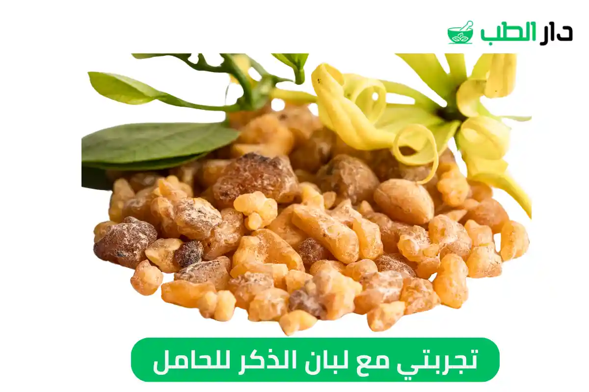 تجربتي مع لبان الذكر للحامل