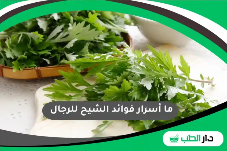ما أسرار فوائد الشيح للرجال