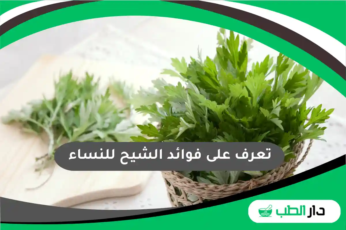 تعرف على فوائد الشيح للنساء