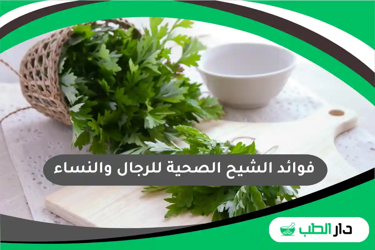 فوائد الشيح الصحية للرجال والنساء